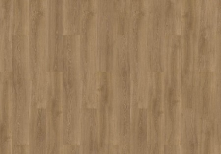 mFLOR Forest Danube 10203