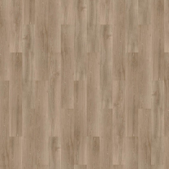 mFLOR Forest Douro 10204