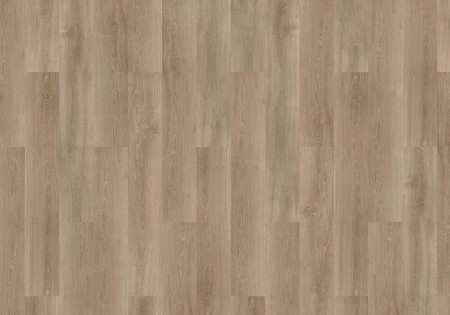 mFLOR Forest Douro 10204