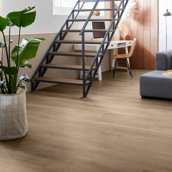 mFLOR Forest Douro 10204