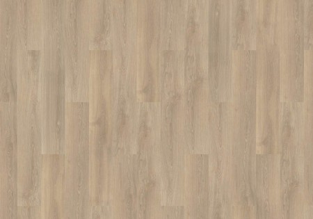 mFLOR Forest Po 10202